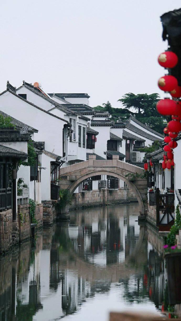 饥饿的哈利
